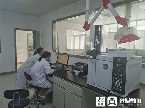 保障食品安全 夯实技术支撑 嘉祥县检验检测中心对 两节 食品开始抽检